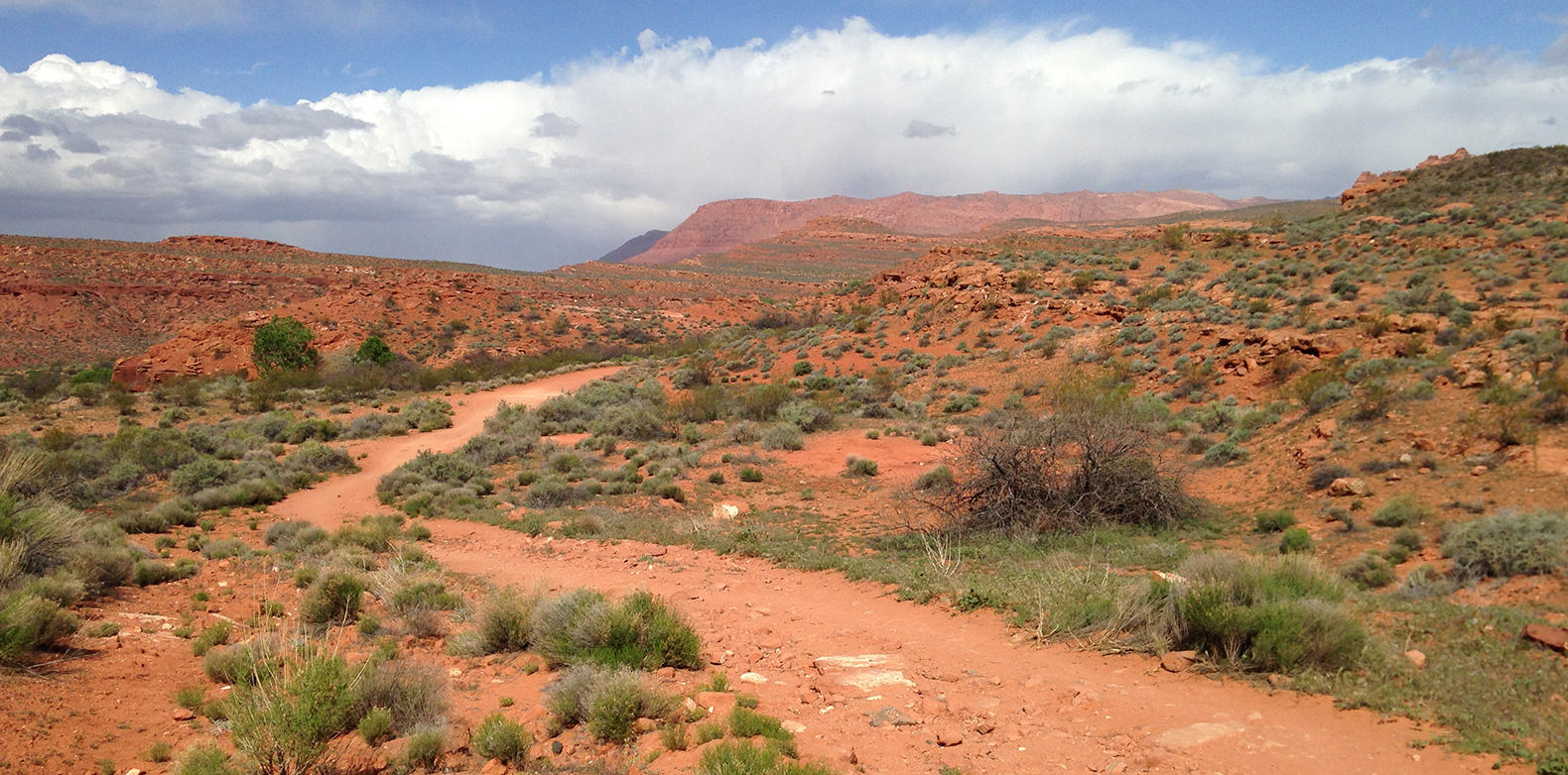 How to Map Long, Amorphous Journeys When Mapping the Customer Experience Journey